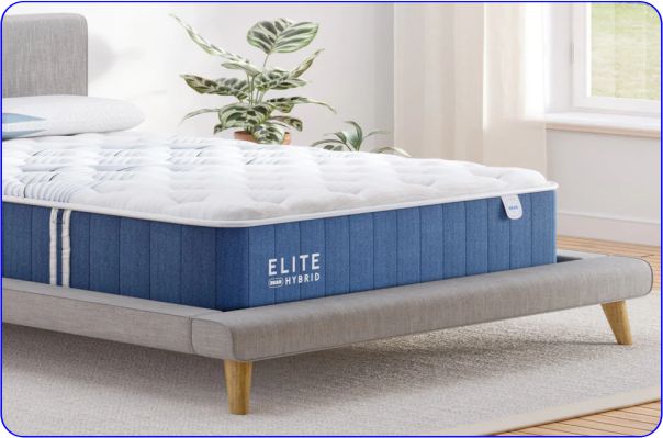 Environment-Friendly Mattress Bear Elite Hybrid