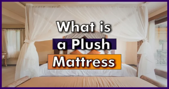 WHat is a Plush Mattress Guide