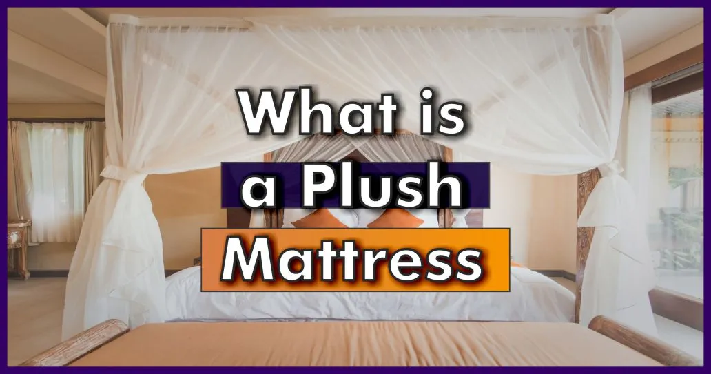 What Is a Plush Mattress? [Updated 2023] Best Mattress Advisor
