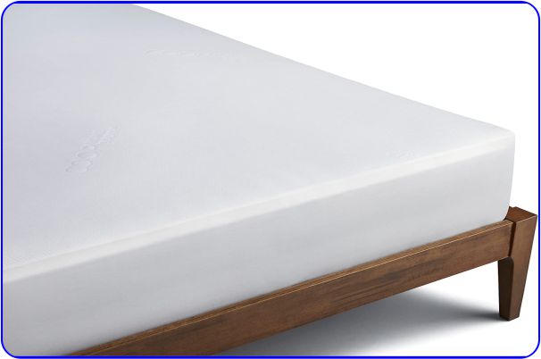 Best Quality Waterproof Mattress Protector