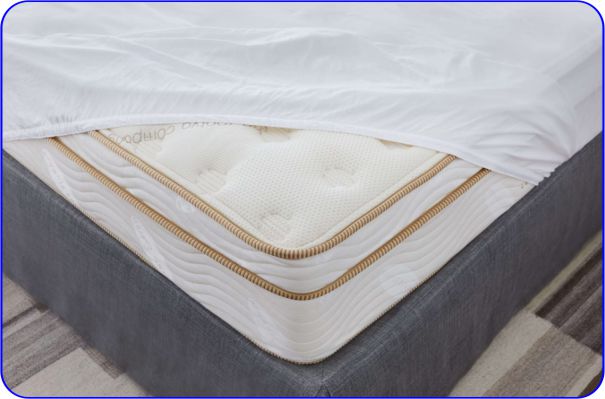 Best Overall- Saatva Waterproof Mattress Protector