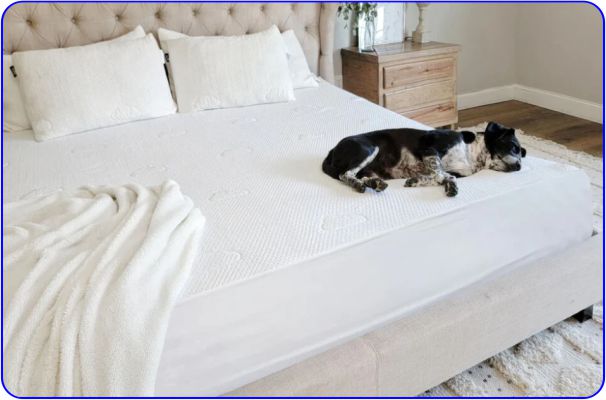 Most Durable- Puffy Mattress Protector