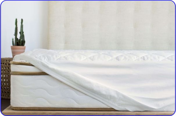 Saatva Organic Mattress Pad