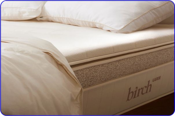 Best Luxury- Birch Organic Mattress Topper