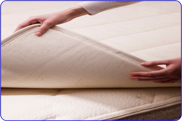 Best Latex- Birch Organic Mattress Topper